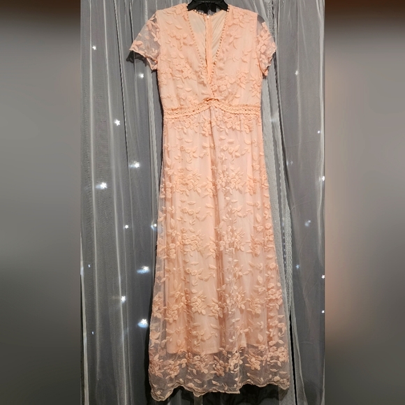 Long Blush Pink Laced Dress - Picture 1 of 3